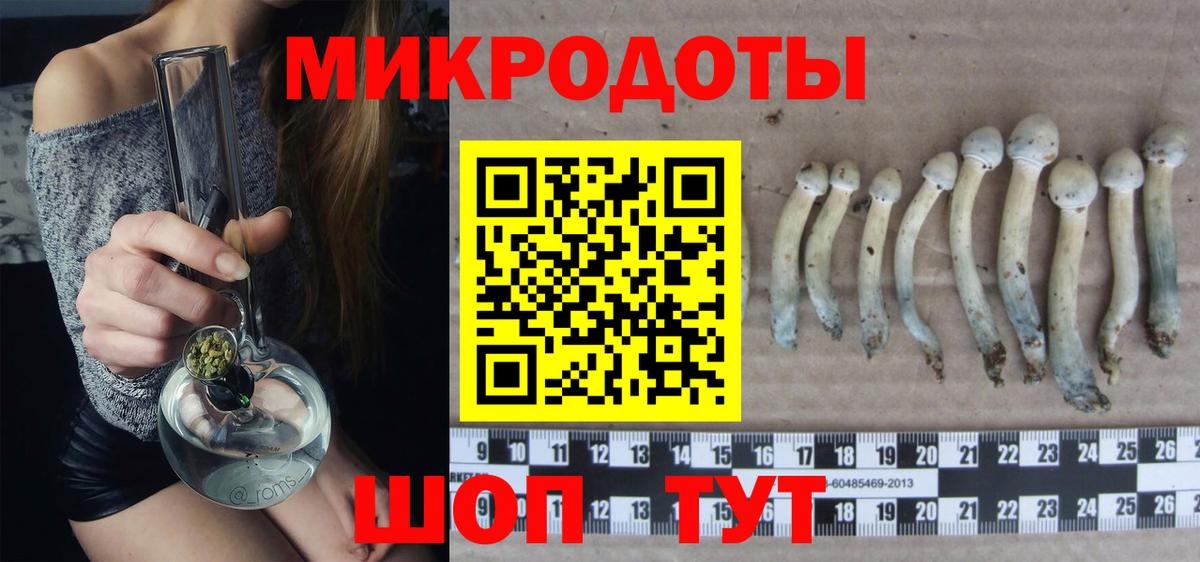 Галлюциногенные грибы Cubensis Зима