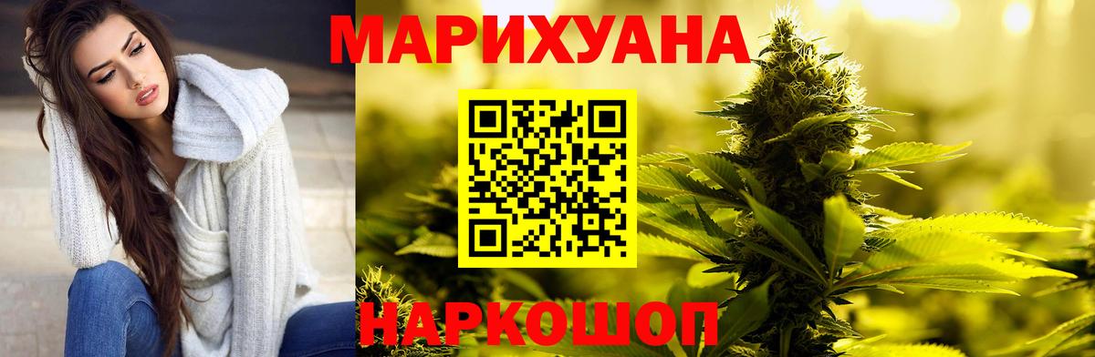 Марихуана план  Марихуана Bruce Banner  Каннабис планчик  Зима  Вход с VPN 